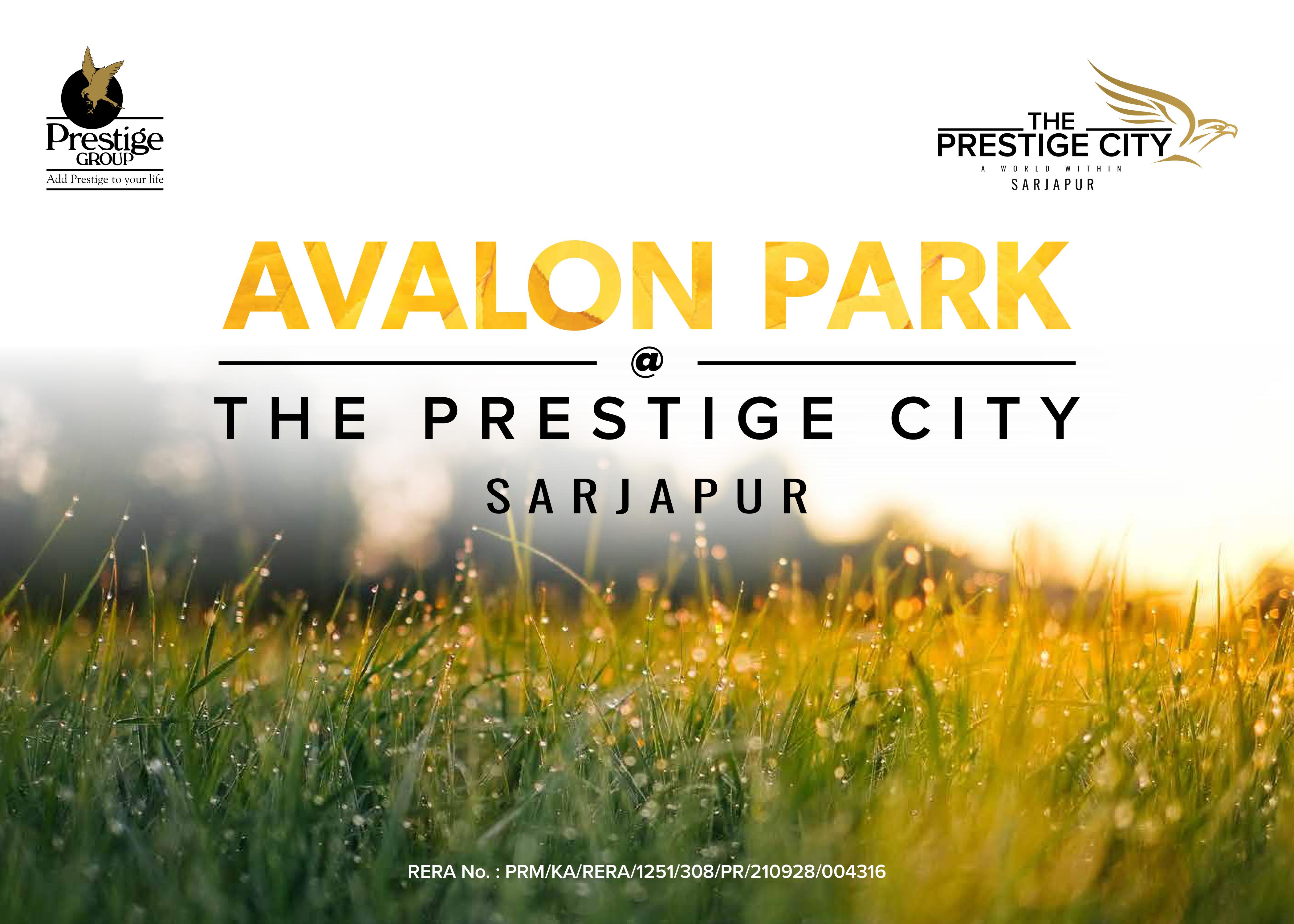 Prestige-Avalon-Park
