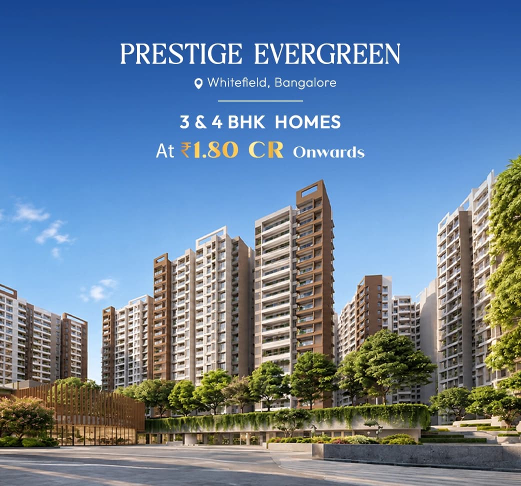 PRESTIGE EVERGREEN